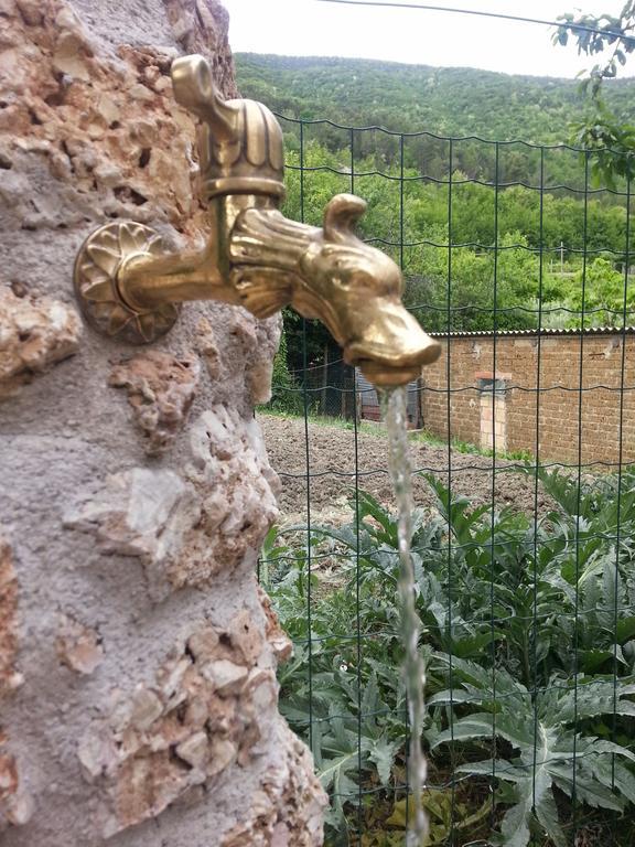 Апартаменты Casa Vittoria Пьяно-делле-Пьеве Номер фото